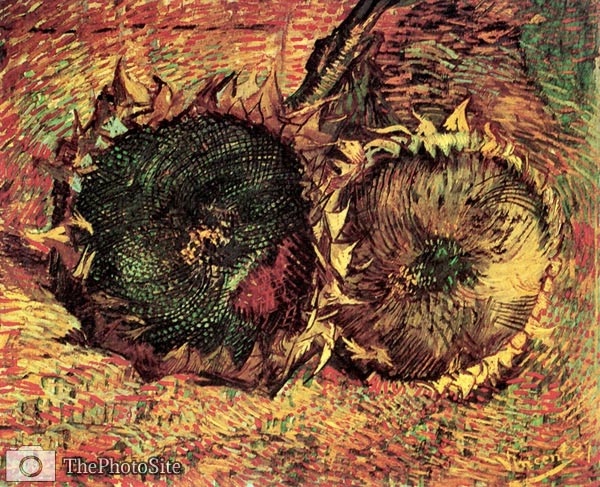Two Cut Sunflowers Vincent Van Gogh - Click Image to Close