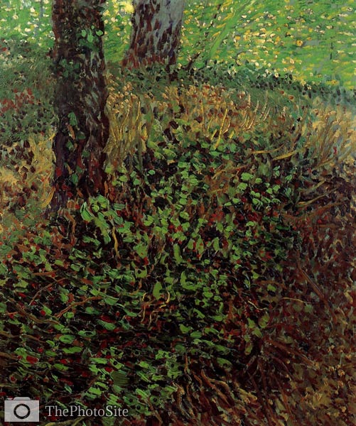 Undergrowth Vincent Van Gogh - Click Image to Close