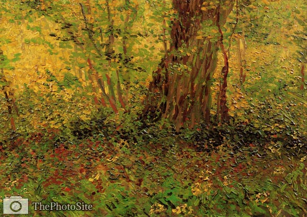 undergrowth Van Gogh - Click Image to Close