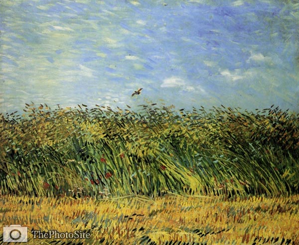 Wheat Field with a Lark Van Gogh - Click Image to Close