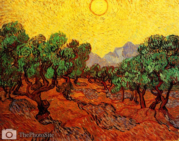 Olive Trees with Yellow Sky and Sun 1889 Vincent Van Gogh - Click Image to Close