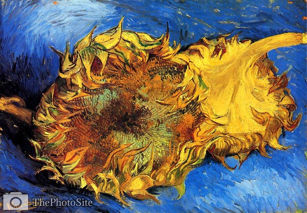 Two Cut Sunflowers 1887 Vincent Van Gogh - Click Image to Close