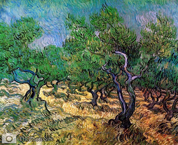 Olive Grove 1889 Van Gogh - Click Image to Close