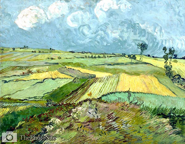 The Plain of Auvers Van Gogh - Click Image to Close
