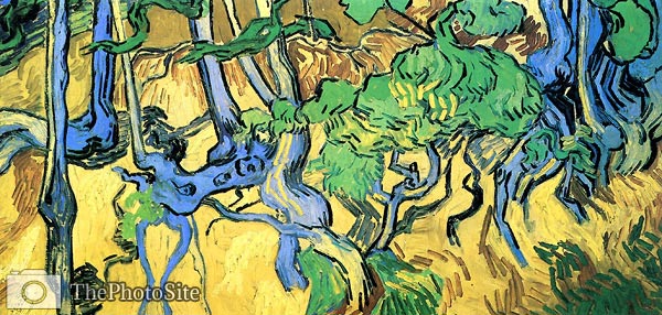Tree Roots and Trunks 1890 Vincent Van Gogh - Click Image to Close
