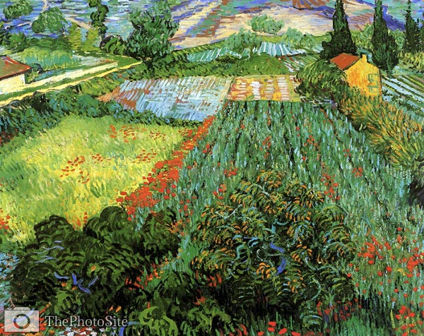 Field with Poppies 1889 Van Gogh - Click Image to Close