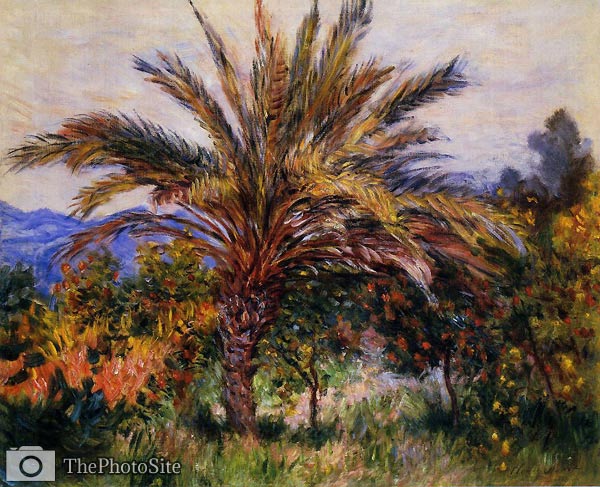 A Palm Tree at Bordighera Monet - Click Image to Close