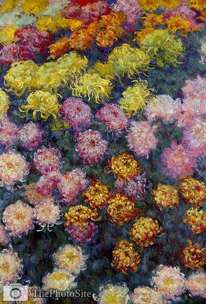 Bed of Chrysanthemums Claude Monet - Click Image to Close