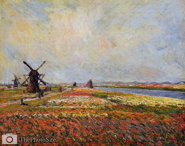 Fields of Flowers and Windmills near Leiden Monet - Click Image to Close