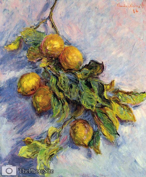 Lemons on a Branch Monet - Click Image to Close