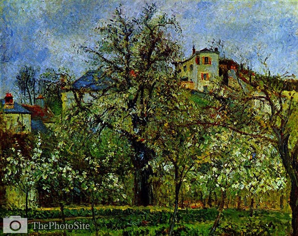 Fruit orchard with blooming trees Camille Pissarro - Click Image to Close
