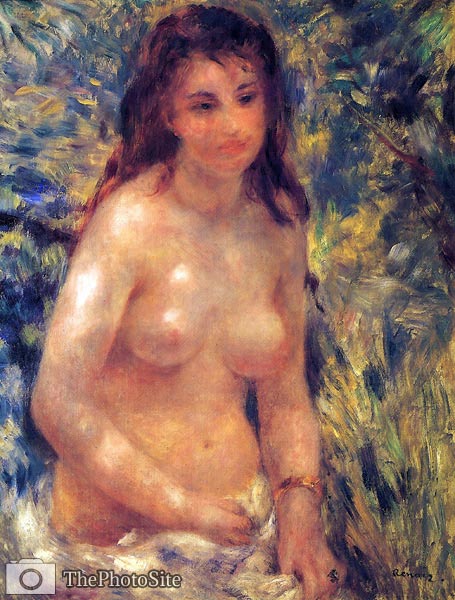 Zorso of a young woman in the sun Pierre-Auguste Renoir - Click Image to Close