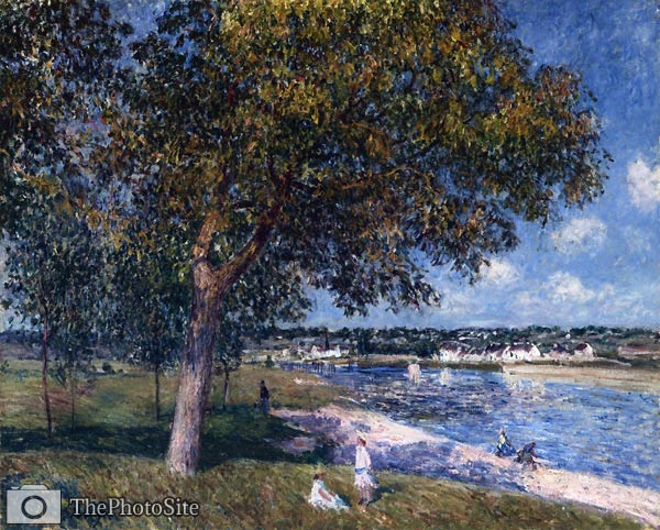 Walnut Tree in a Thomery Field Alfred Sisley - Click Image to Close