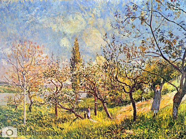 Orchard in spring Alfred Sisley - Click Image to Close