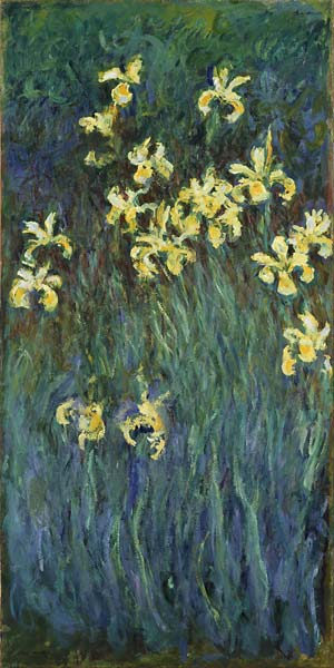 Yellow Irises - Click Image to Close