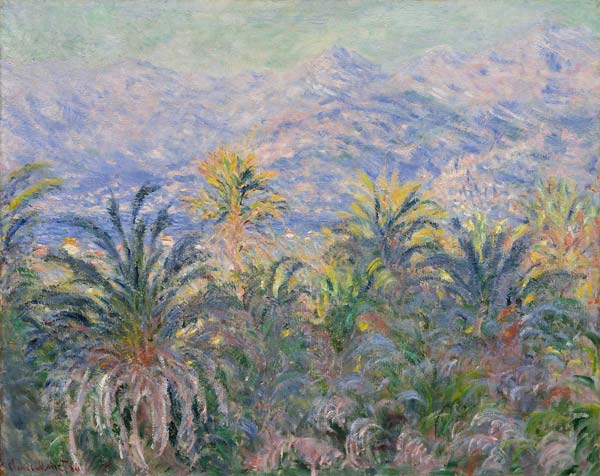 Palm trees at bordighera 1884 - Click Image to Close