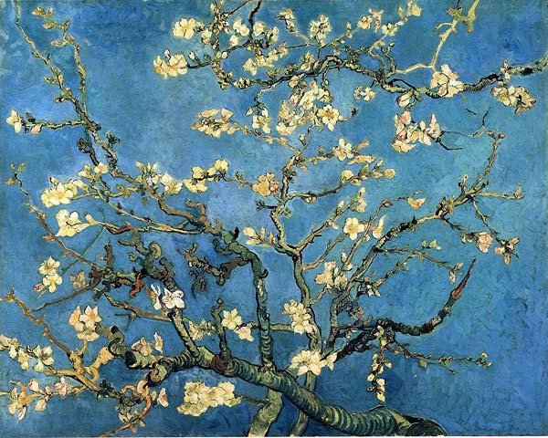 Almond blossom - Click Image to Close