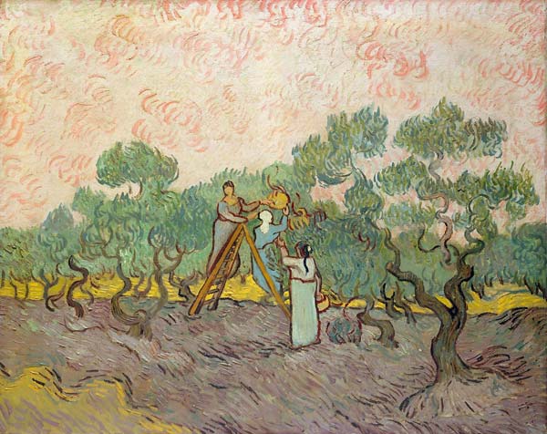 Women picking olives - Click Image to Close