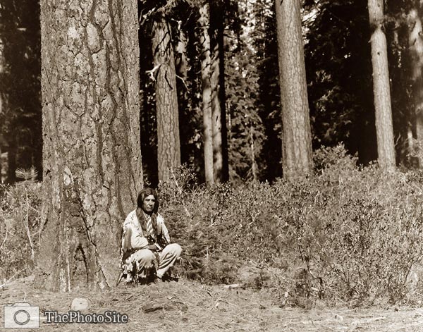 Klamath Native American Indian man in Ponderosa Pines, Oregon - Click Image to Close