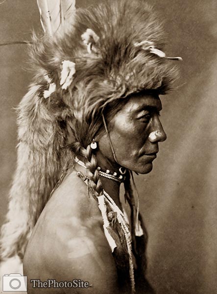 Yellow Kidney, Piegan native american indian man in headdress - Click Image to Close