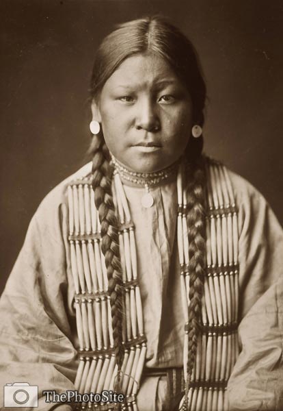 Cheyenne girl Native American Indian - Click Image to Close