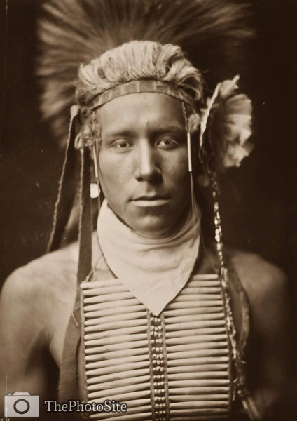 Little Daylight Native American Indian by Edward Curtis - Click Image to Close
