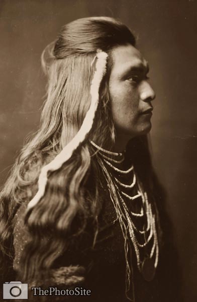 Sawyer - Nez Perce Native American Indian Man - Click Image to Close