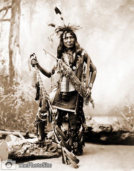 Eagle Shirt, Native American Indian, 1899 - Click Image to Close