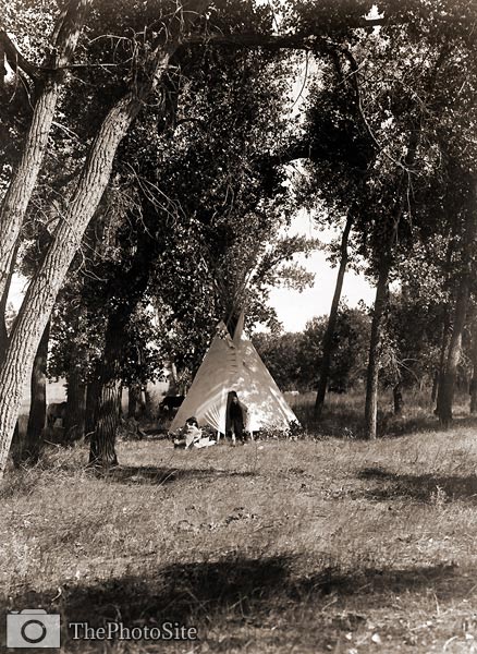 Tepee in a grove of trees, 1910 - Click Image to Close