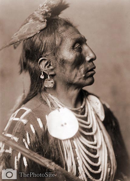 Medicine Crow Indian, Montana 1908 - Click Image to Close