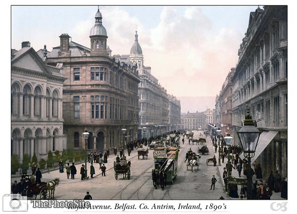 Royal Avenue. Belfast. Co. Antrim, Ireland - Click Image to Close