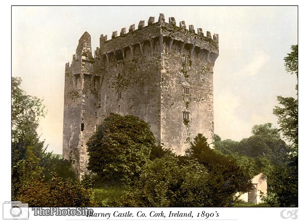 Blarney Castle. Co. Cork, Ireland - Click Image to Close