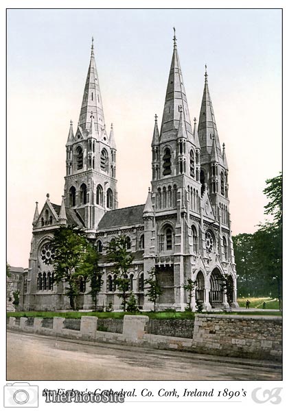 St. Finbar's Cathedral. Co. Cork, Ireland - Click Image to Close