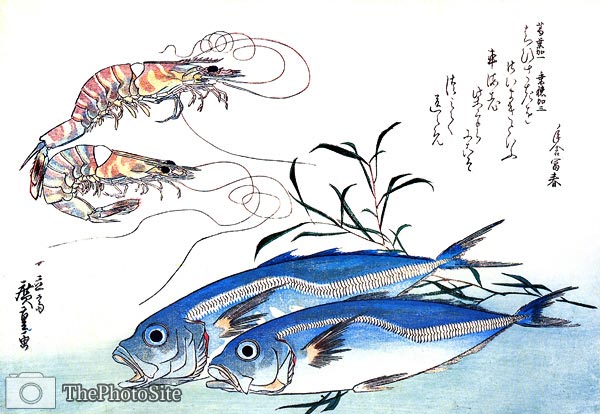 Horse-mackerel and Prawns Ando Hiroshige - Click Image to Close