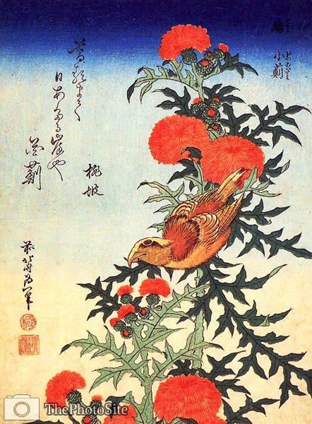Bird and Chrysanthemen Katsushika Hokusai - Click Image to Close