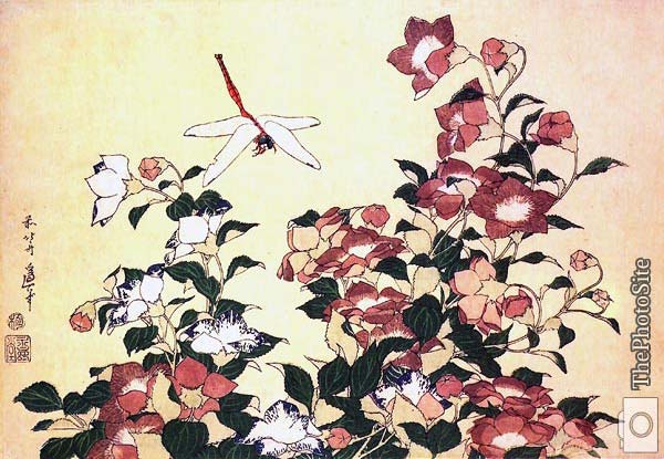 Bellflower and Dragonfly Katsushika Hokusai - Click Image to Close