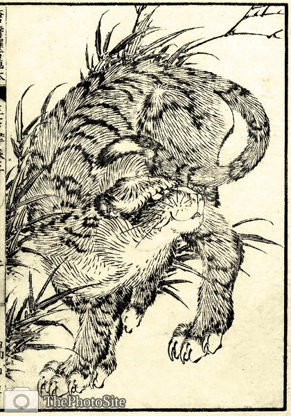 Tora Tiger Katsushika Hokusai - Click Image to Close