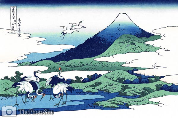 View from Umesawa in Sagami Province Katsushika Hokusai - Click Image to Close
