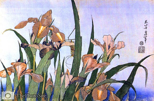 Irises, flowers Katsushika Hokusai - Click Image to Close