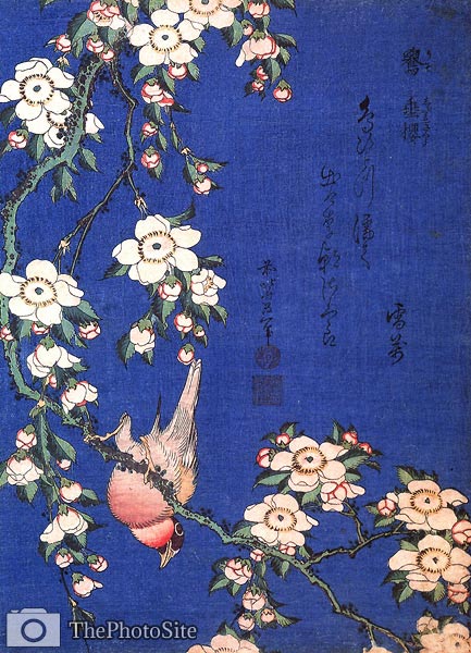 Weeping Cherry and Bullfinch Katsushika Hokusai - Click Image to Close