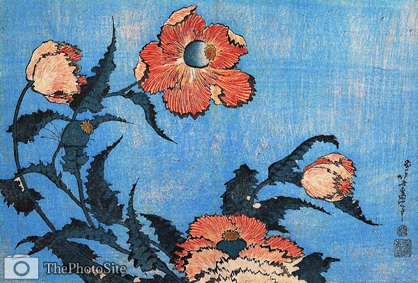 Poppies, Flowers Katsushika Hokusai - Click Image to Close