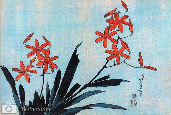 Orange Orchids Katsushika Hokusai - Click Image to Close