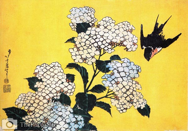Hydrangea and Swallow Katsushika Hokusai - Click Image to Close
