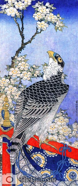 Falcon Katsushika Hokusai - Click Image to Close