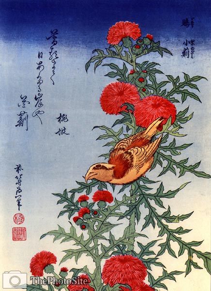 Crossbill, Bird on a Thistle Katsushika Hokusai - Click Image to Close