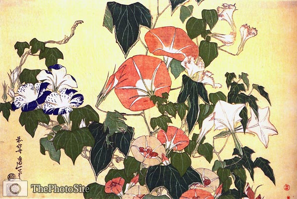 Convolvulus and Tree Frog Katsushika Hokusai - Click Image to Close