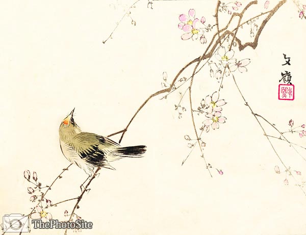 Japanese Cherry blossoms and a Nightingale Bunrei Maekawa - Click Image to Close