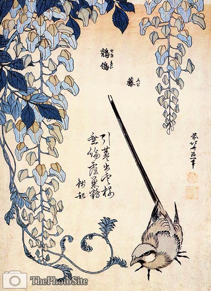Wagtail Katsushika Hokusai - Click Image to Close
