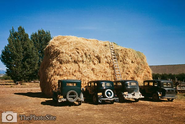 Giant haystack and old cars, Colorado 1940 - Click Image to Close