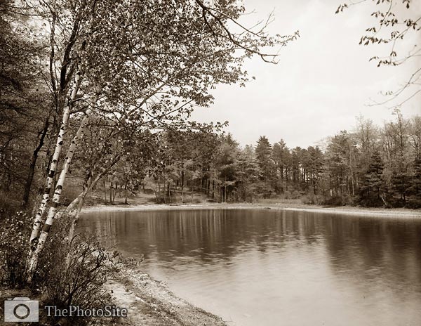 Thoreau's cove, Lake Walden, Concord, Massachusetts - Click Image to Close